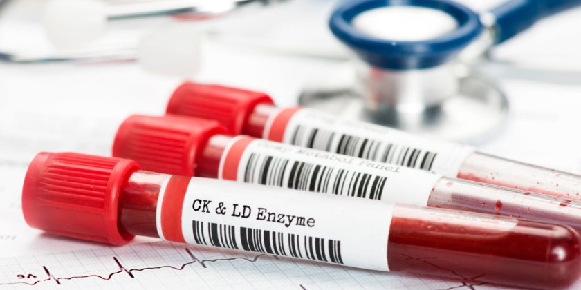 Ihr Blut – der Schlüssel zu Ihrer Gesundheit