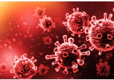 Ein starkes Immunsystem ist unsere beste Lebensversicherung!!!