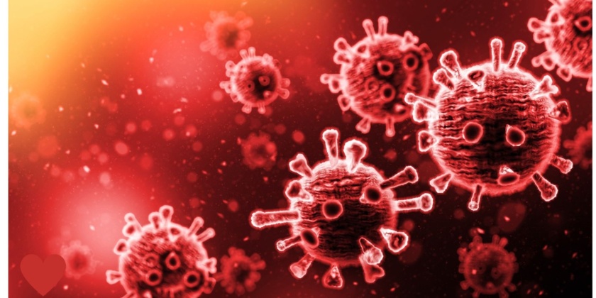 Ein starkes Immunsystem ist unsere beste Lebensversicherung!!!